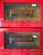 Chicago Surface Lines -Peter Witt Street Cars Bachmann Spectrum HO DCC x 2
