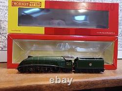 Hornby A4 4-6-2 BR 60016 LNER Silver King Gresley DCC-ready boxed TT3008M