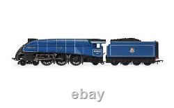 Hornby British Railways Br 60022 Mallard A4 Class 4-6-2 Steam Locomotive Model