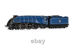 Hornby British Railways Br 60022 Mallard A4 Class 4-6-2 Steam Locomotive Model