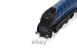 Hornby British Railways Br 60022 Mallard A4 Class 4-6-2 Steam Locomotive Model