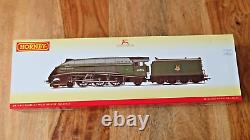 Hornby R3522 BR (Early) 4-6-2 Class A4 Loco MILES BEEVOR 60026 DCC Ready NEW