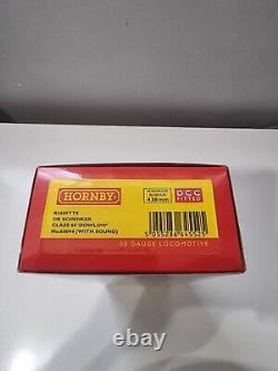 Hornby R3605TTS DB Schenker Class 60 60044'Dowlow' DCC Sound