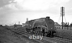 Hornby R3844 BR Class W1 Steam Locomotive 4-6-4 No. 60700 DCC Ready