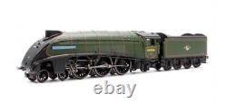 Hornby TT 120 A4'60004''William Whitelaw' Dcc Ready BNIB