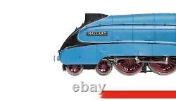 Hornby TT3007M LNER Class A4 4-6-2 4468 Mallard Era 3 DCC Ready