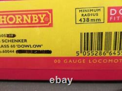 Hornby r3605 db shenker class 60 dowlow no 60044 dcc ready sound was removed
